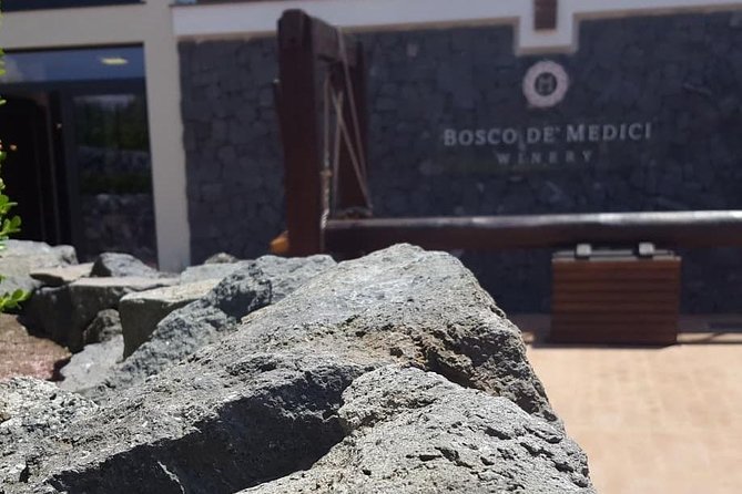 Pompei Archeological site and Wine tasting Experience - How the Pompeii-and-Wine Day Works from Amalfi