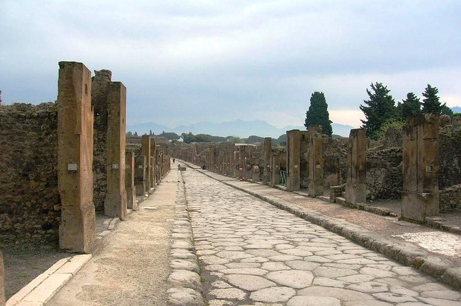 Pompei Archeological site and Wine tasting Experience - Should You Book Pompeii Archeological Park and Wine Tasting?