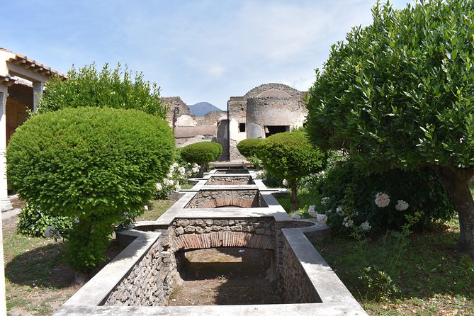 Pompeii & Amalfi Coast Tour from Naples or Sorrento - Price and value: what $588.81 per person covers