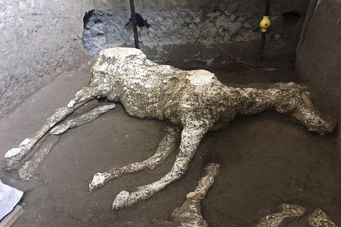 Pompeii and Amalfi Coast Day Trip from Naples - Weather, disruptions, and what to do if things change