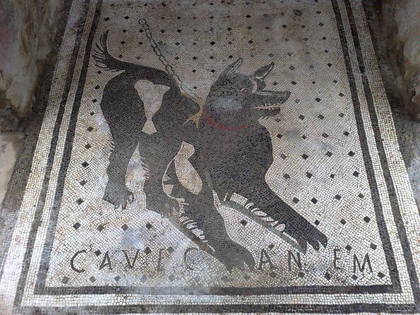 Pompeii Positano and Sorrento shared excursion with Pompeii skip the line entry - Who Should Book This, and Who Should Reconsider
