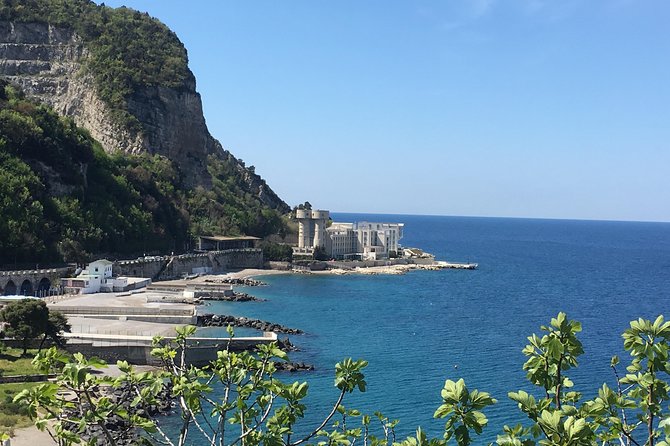 Pompeii private guided tour and Amalfi coast - Pompeii Archaeological Park with an Official Local Guide (and Ticket Reality)