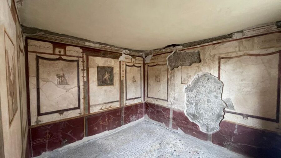 Pompeii - Vesuvius & Wine from Amalfi Coast all inclusive - Price and value: what $284.46 gets you