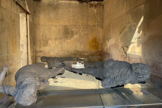 Pompeii, Vesuvius & wine tasting from Positano all inclusive - Should you book Pompeii, Vesuvius & wine tasting from Positano?