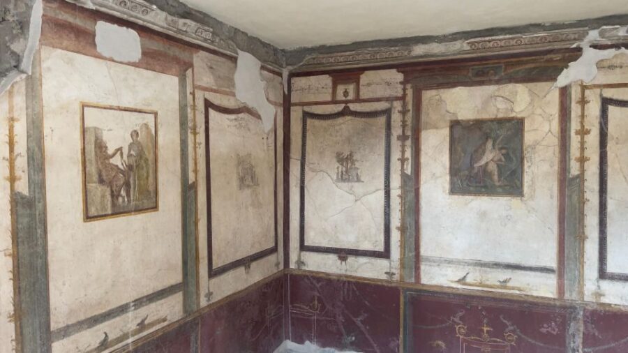 Pompeii-Vesuvius & Winery All Inclusive Tour From Positano - Key Highlights You’ll Care About