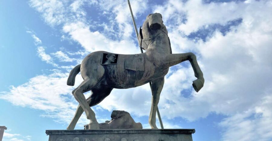 Pompeii-Vesuvius & Winery All Inclusive Tour From Positano - Price and Value: Does $284.46 Make Sense?