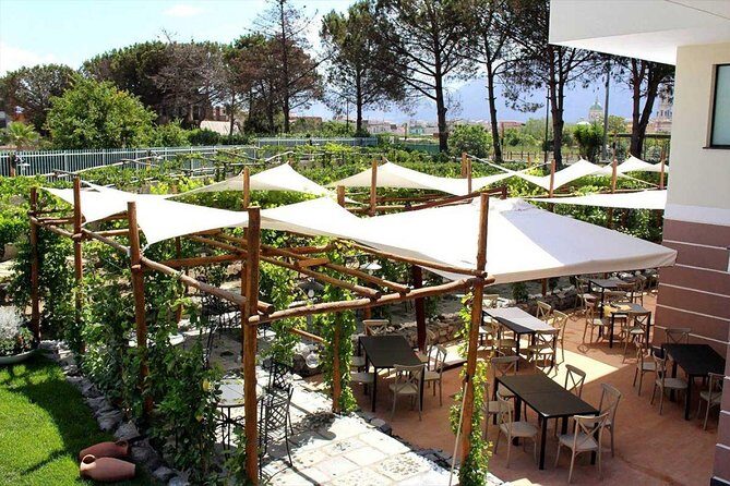 Pompeii & Vesuvius with Lunch & Wine Tasting from Amalfi Coast - Transportation and Group Size: Comfortable Small-Group, Not Private All Day