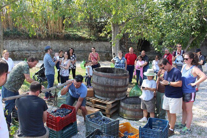 Pompeii Wine Tasting Tour from Positano - Group size, guides, and the human touch that makes it work