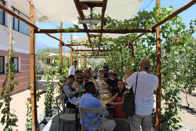 Pompeii Wine Tasting Tour from Positano - Who this Pompeii wine tasting day from Positano is best for