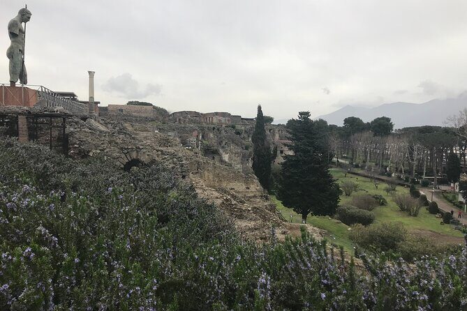 Pompeii Wine Tasting Tour from Positano - Pompeii Archaeological Park in a 2-hour guided walk
