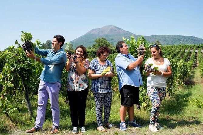 Private day tour: Sorrento, Positano, Amalfi and Ravello. - Positano Stop: Iconic Views Without the Multi-Day Hassle