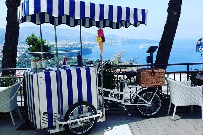 Private Deluxe Day tour from naples to Sorrento & Amalfi coast - What private deluxe means on the Amalfi Coast run
