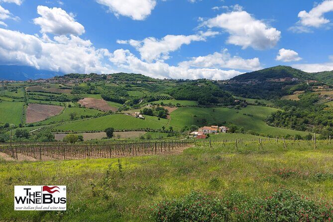 Private Irpinia Wine Tour from POSITANO, AMALFI or RAVELLO - Key highlights worth noting