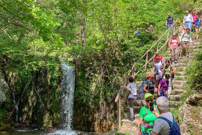 Private Tour: Amalfi Valle delle Ferriere Nature Reserve Walking Tour - Guides Make the Difference: Why Names You Hear Matter