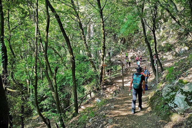 Private Tour: Amalfi Valle delle Ferriere Nature Reserve Walking Tour - Price and Value: What You Get for $178.84