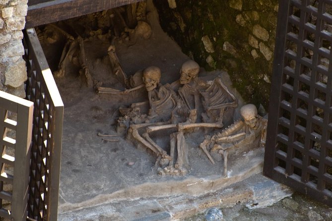Private Tour: Day Trip Excursion to Herculaneum, Positano and Sorrento - Key takeaways before you go