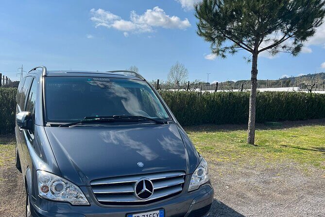 Private Transfer from Positano to Naples Airport - Drop-off at Naples Capodichino Airport or Naples city