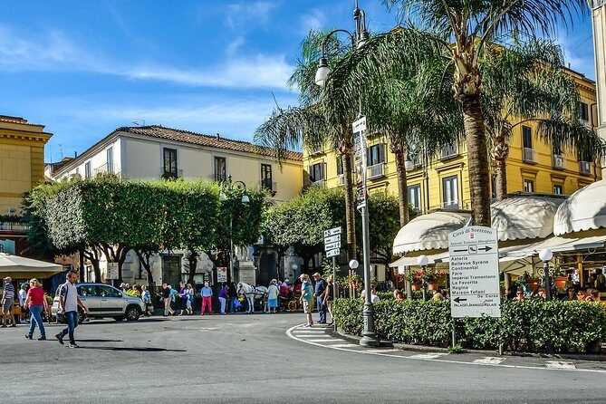 Private Transfer from Sorrento or Amalfi coast to Naples or vice versa - Key Highlights Worth Planning For