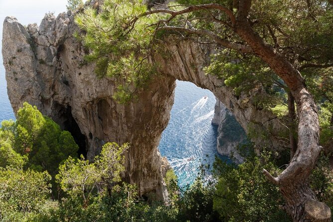 Small Group Boat Day Excursion to Capri Island from Amalfi - Quick hits before your Capri morning