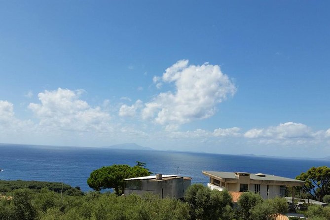 Sorrento Positano and Pompeii - Pompeii Archaeological Park: Make the Ruins Click With a Private Guide