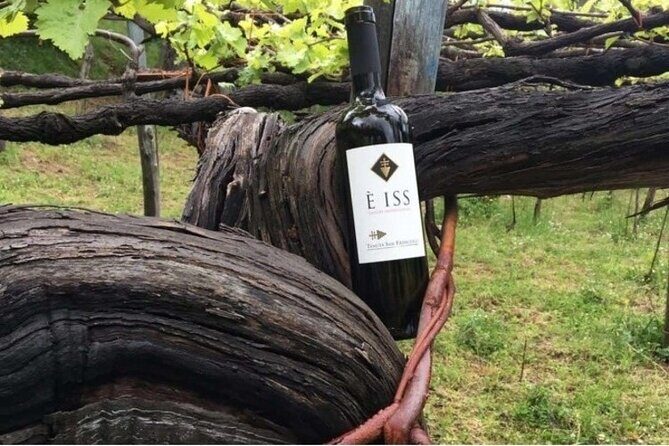 Tenuta San Francesco Wine Tasting - Key reasons this wine stop works