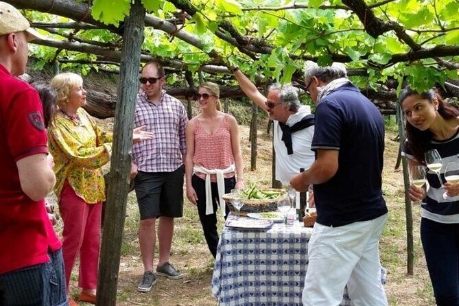 Tenuta San Francesco Wine Tasting - Hosts and atmosphere: why it feels authentic, not scripted
