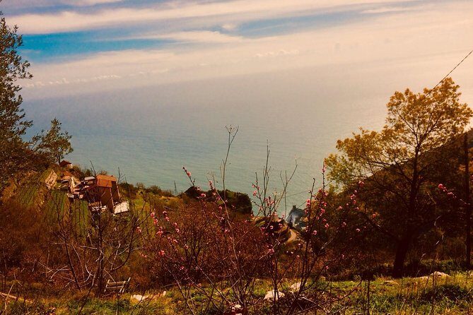 Trail of the gods with local guide Saveria Fiore "Ladybug" - Sentiero Degli Dei: the trail, the story, and the scenery