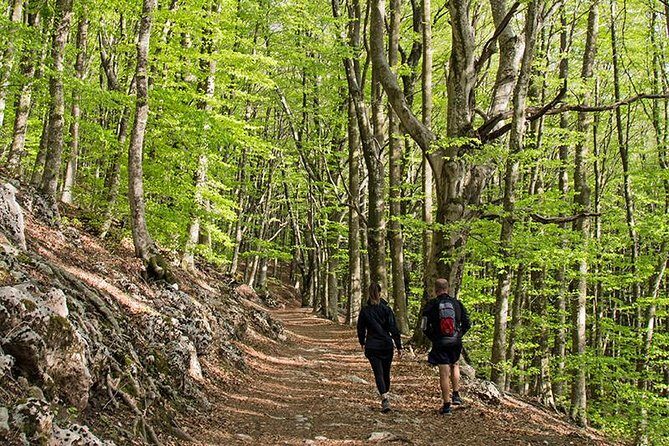 Walk around Faito Mountain, the Highest Point of the Amalfi Coast and Sorrento Peninsula - The Views You Can Name: Amalfi, Sorrento, and Mt Vesuvius