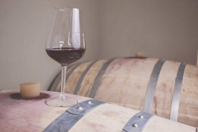 Wine Tour (lunch included) - The schedule from 11:30: two wineries in one smooth window