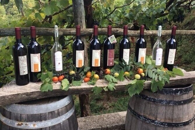 Wine Tour (lunch included) - Private tour feel, mobile ticket, and practical timing